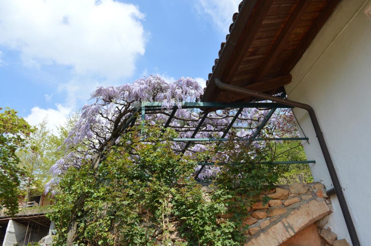 L'Uovo E La Faina Bed & Breakfast Busca Dış mekan fotoğraf